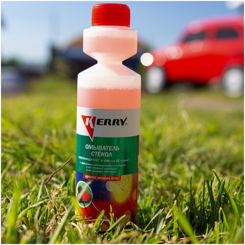 Жидкость стеклоомывателя летняя 270мл KERRY / омывайка с ароматом лесных ягод + Антизапотеватель для стекол и зеркал 210мл AVK-077; KR-337/A78615S