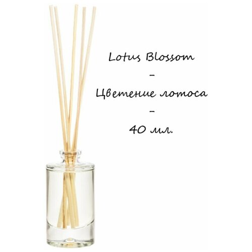 Диффузор ароматический, аромат цветения лотоса / Аромадиффузор Lotus Blossom, 40 мл.