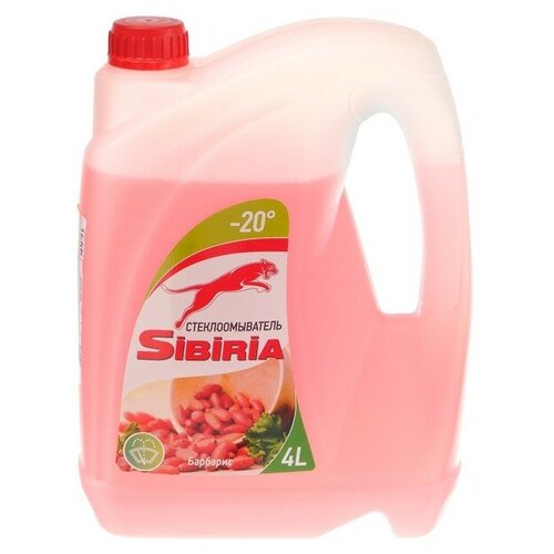 Жидкость стеклоомывающая зимняя Sibiria Барбарис, -20С, 4 л