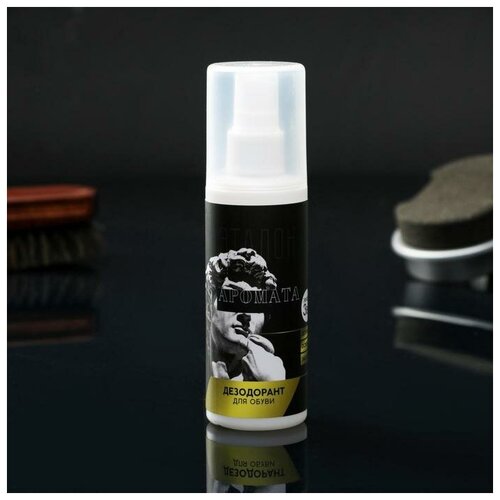 Дезодорант для обуви "Эталон аромата", 100 мл