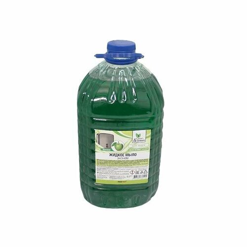 Мыло жидкое эконом "яблоко" 5 кг. Clean&Green CG8010