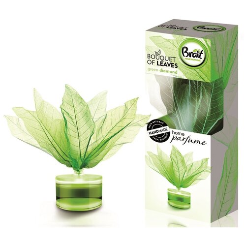 Brait Home Perfume Bouquet Of Leaves Green Diamind Декоративный освежитель воздуха с палочками в форме листьев Зеленый бриллиант 50 мл