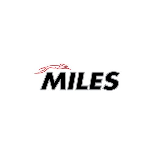 MILES EB00005 Смазка для суппортов MILES 5г 1шт
