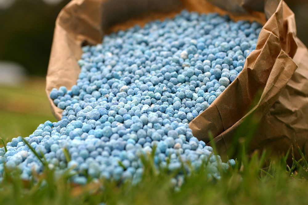 Основные направления промышленной агрохимии